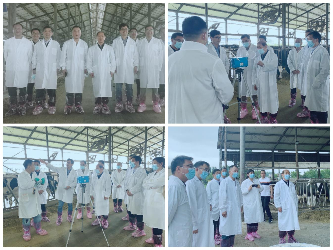 花花牛丨河南農(nóng)業(yè)大學(xué)黨委副書記、校長介曉磊一行蒞臨花花牛河南瑞亞參觀調(diào)研