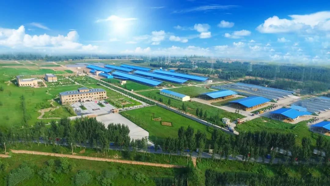 花花牛丨河南農(nóng)業(yè)大學(xué)黨委副書記、校長介曉磊一行蒞臨花花牛河南瑞亞參觀調(diào)研