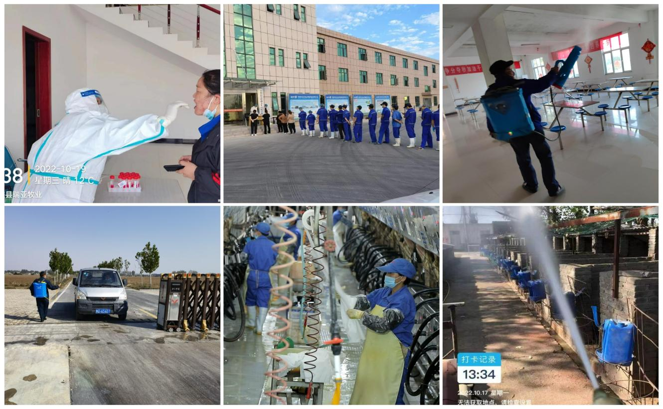 抗疫情、保供應(yīng)、顯擔(dān)當(dāng)——花花牛在行動!!! 抗疫情、保供應(yīng)、顯擔(dān)當(dāng)——花花牛在行動!!!