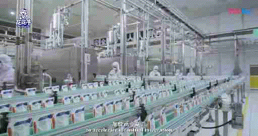 快訊 | 湖北省農業廳副廳長王海濤等領導一行蒞臨河南花花牛乳業集團參觀調研 快訊 | 湖北省農業廳副廳長王海濤等領導一行蒞臨河南花花牛乳業集團參觀調研