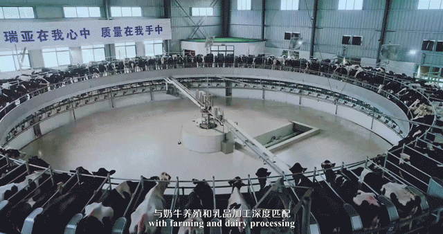 快訊 | 河南省委常委、省紀委書記、省監委主任任正曉蒞臨花花牛乳業集團新蔡瑞亞牧場調研 快訊 | 河南省委常委、省紀委書記、省監委主任任正曉蒞臨花花牛乳業集團新蔡瑞亞牧場調研