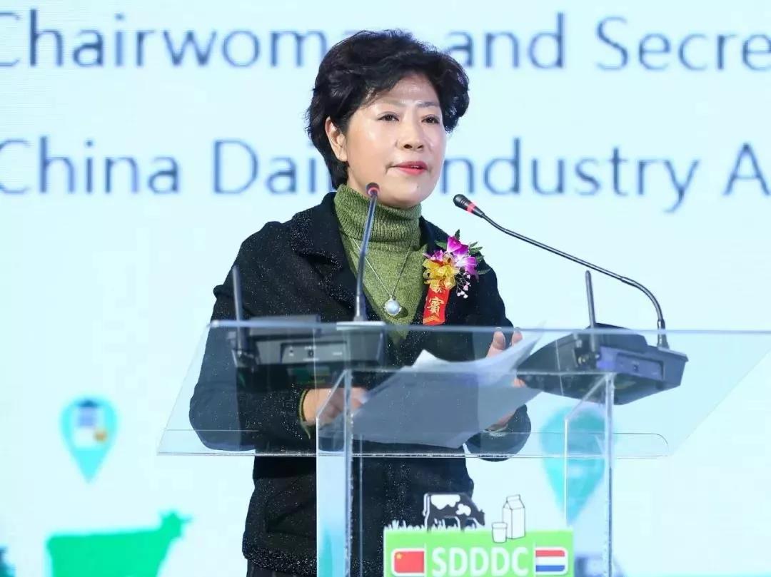 SDDDC走進河南,看看花花牛的國際范兒! SDDDC走進河南,看看花花牛的國際范兒!