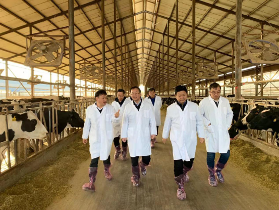寧夏回族自治區(qū)農(nóng)業(yè)農(nóng)村廳黨組書記、廳長王剛一行蒞臨花花牛乳業(yè)集團(tuán)調(diào)研