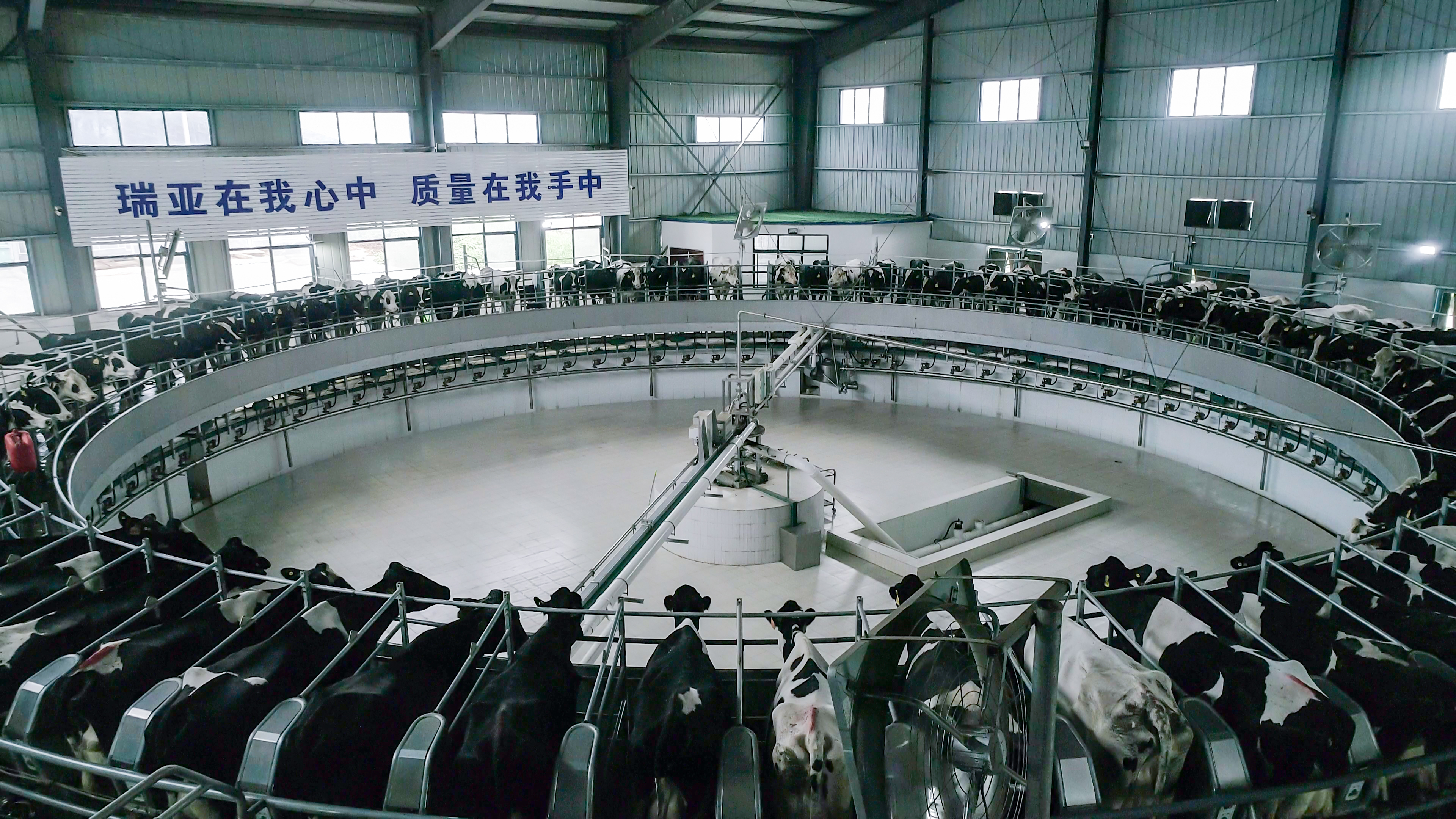 河南省委常委、組織部部長孔昌生 蒞臨河南花花牛集團魯山瑞亞牧業有限公司調研