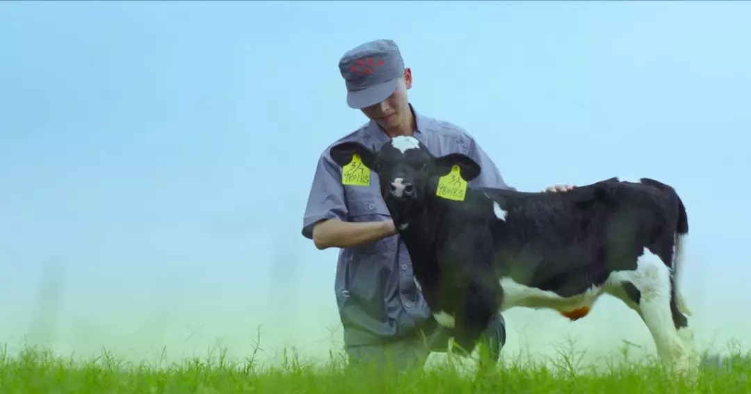 喜報 | 國家市場監管總局抽檢,花花牛等112家企業乳品抽檢全部合格 喜報 | 國家市場監管總局抽檢,花花牛等112家企業乳品抽檢全部合格