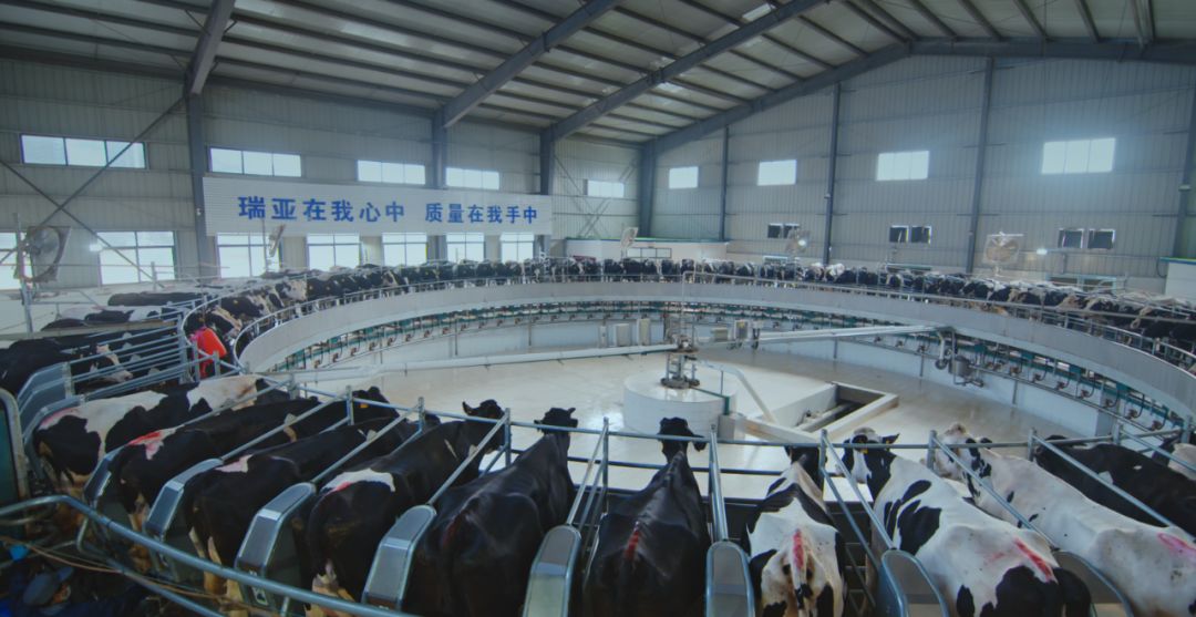 花花牛集團旗下六家公司入選省農業產業化重點龍頭企業名單 花花牛集團旗下六家公司入選省農業產業化重點龍頭企業名單