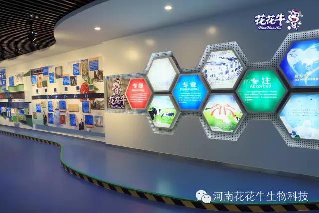 花花牛：務(wù)實、創(chuàng)新領(lǐng)潮市場 大企業(yè)體現(xiàn)大擔(dān)當(dāng)