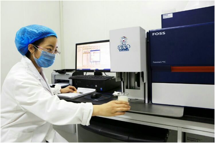 花花牛：務(wù)實、創(chuàng)新領(lǐng)潮市場 大企業(yè)體現(xiàn)大擔(dān)當(dāng)