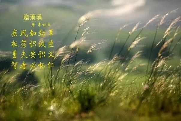 花花牛 | 疾風來臨，你是不是勁草？