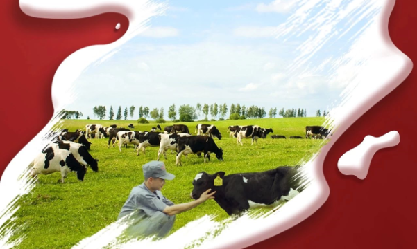 喜報！花花牛董事長關曉彥再獲”優 秀企業家”稱號